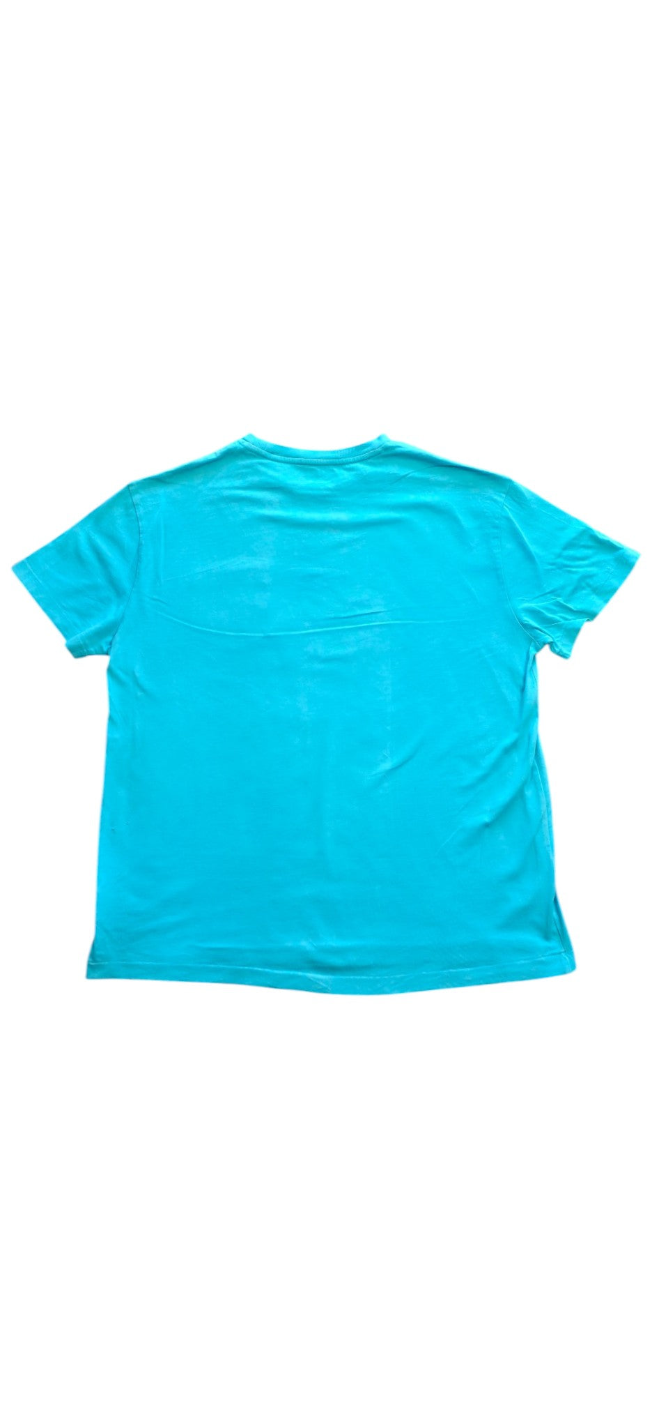 Polo Ralph Lauren T-Shirt Blau