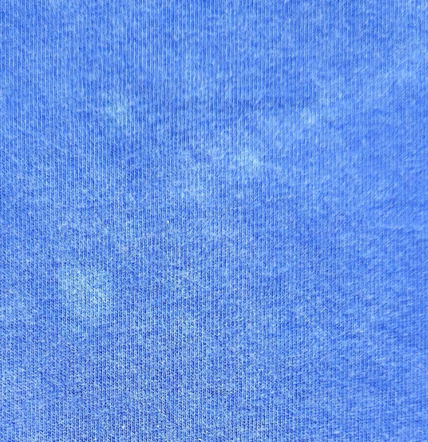 Polo Ralph Lauren T-Shirt Blau