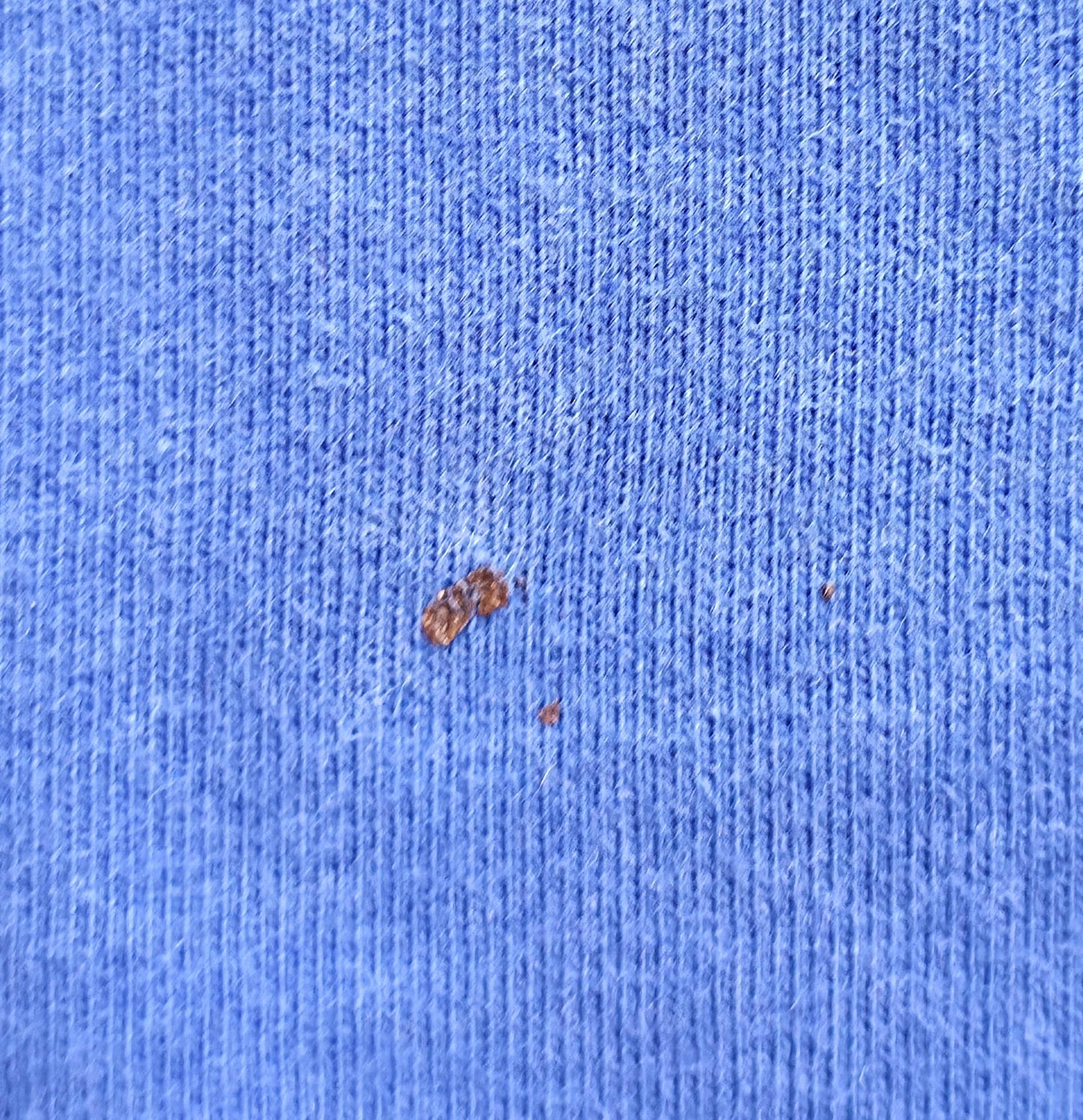 Polo Ralph Lauren T-Shirt Blau