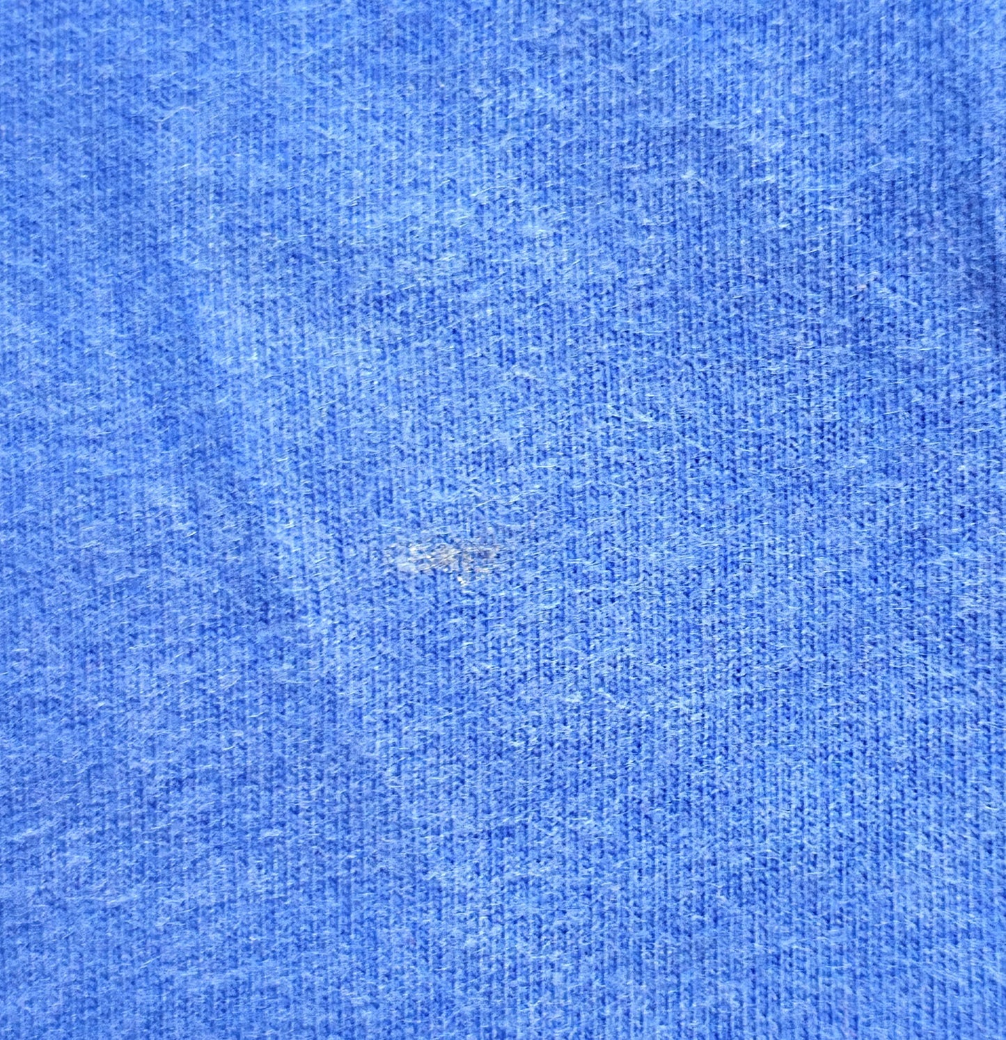 Polo Ralph Lauren T-Shirt Blau