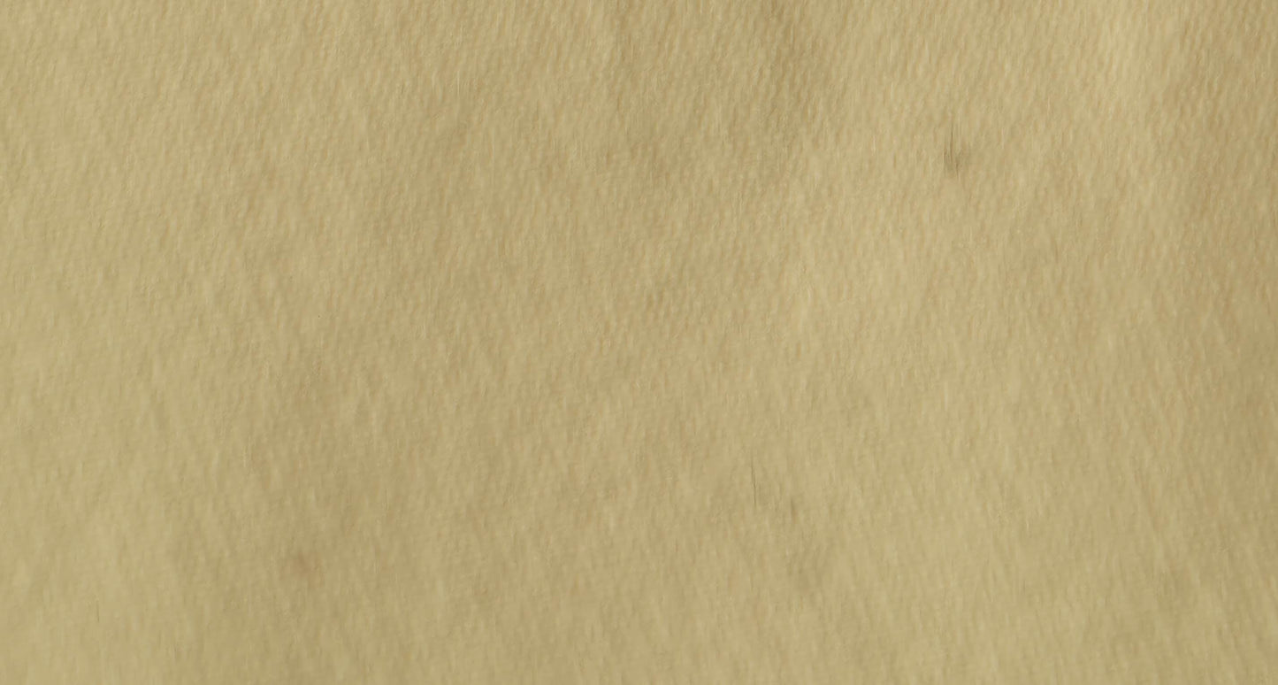 Polo Ralph Lauren T-Shirt Gelb